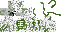 My skin i made